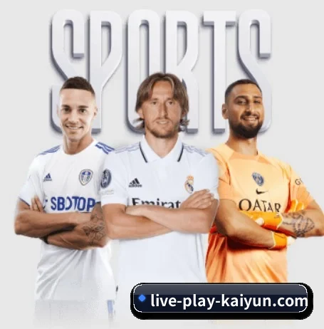 每个板块围绕一个运动项目展开 | kaiyun
