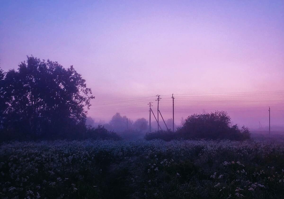 NBA-爱德华兹生涯1万分米切尔30+7 森林狼胜骑士